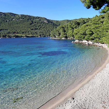 Apartments By The Sea Zuljana, Peljesac - 19080 Luaran gambar